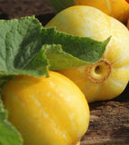 Lemon Cucumber 200+ Seeds Vegetable Garden Heirloom NON-GMO USA FREE SHIPPING Garden Plants