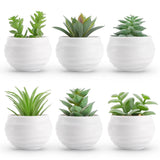 Der Rose Set of 6 Succulents Plants Artificial in Pots Small Fake Plants for Green Plant