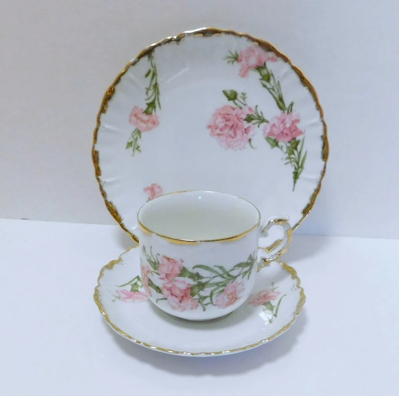 Vintage Royal Munich Bavarian China Germany PMB Pink Carnation 3 Pc Set Carnation