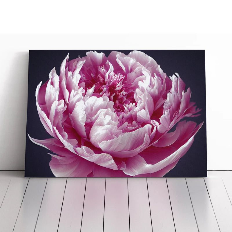Framed canvas wall art print: large pink peony flower on dark background