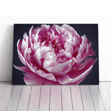 Astonishing Peony Flower Canvas Wall Art Print Framed Picture Decor Living Room Peony