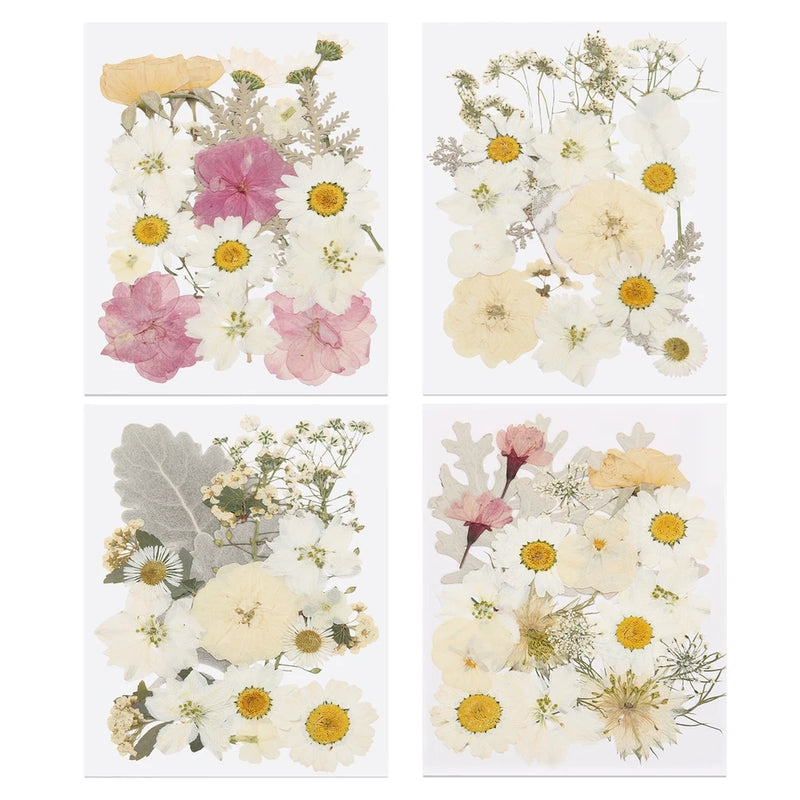 80 Pcs Dried Pressed Flower Leaves Bulk for Resin, White Colors Dried Flower