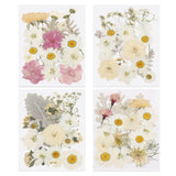 80 Pcs Dried Pressed Flower Leaves Bulk for Resin, White Colors Dried Flower