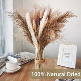 130PCS Pampas Grass Decor, 18 Inch Dried Pampas Grass Contains White Natural ... Pampas Grass