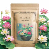 100+ Mixed Lotus Seeds for Planting Ð Aquatic Lotus Flower Seeds for Pond Flowering Plants