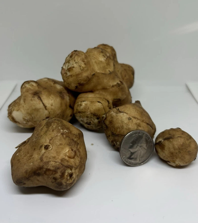 Organic Jerusalem artichoke Tubers 8oz . Plant Now Flowering Plants