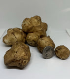 Organic Jerusalem artichoke Tubers 8oz . Plant Now Flowering Plants