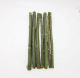 20 Austree Hybrid Willow Tree Cuttings Fast Growing Aussie For Direct Planting Green Plant