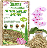 3.6OZ Sphagnum Moss for Indoor Plants, 4 QT Orchid Moss Potting Mix Orchids