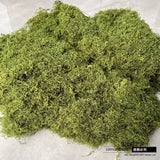 Artificial Moss Lawn Grass Green Plants Landscaping Decorative Waterproof Green Plant