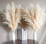 14 Stems 30" inch Dried Pampas Grass Decor Tall, Large Pompas Grass, Boho Neu... Pampas Grass