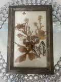 Vintage Dried Pressed Flowers And Butterfly In Frame  Wall Decor Dried Flower