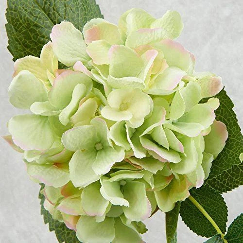 Factory Direct Craft 15 Inch Light Green and Pink Artificial Floral Hydrang Hydrangea