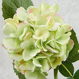 Factory Direct Craft 15 Inch Light Green and Pink Artificial Floral Hydrang Hydrangea
