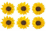 Fall Crafts Sunflower Paper Flowers - 6 Pieces 2.17 inch Sunflower