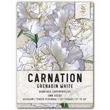Grenadin White Carnation Seeds For Planting (Dianthus caryophyllus) Carnation