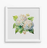 Framed White Hydrangea Art Print 12x12" White Wooden Frame Watercolor Style NEW Hydrangea