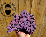 10lbs. Medium 6" to 9" Purple Dry Shelf Rock Lightweight, Porous, Aquariums Anemone