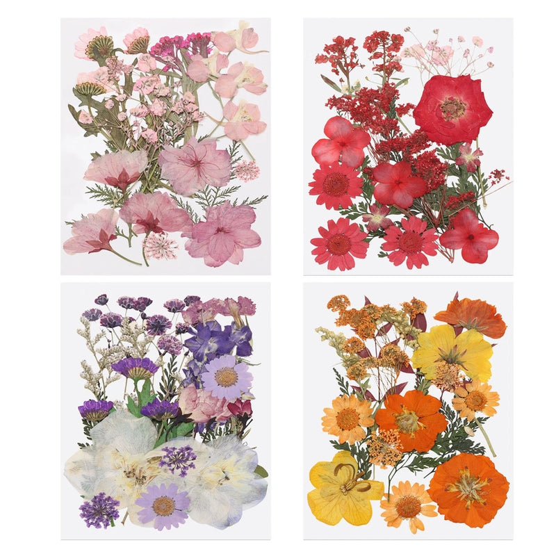 80 Pcs Dried Pressed Flower Leaves Bulk for Resin, Warm Colors Dried Flower