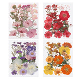 80 Pcs Dried Pressed Flower Leaves Bulk for Resin, Warm Colors Dried Flower