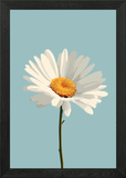 Daisy Flower Illustration Framed Wall Art Poster Canvas Print Picture Daisies