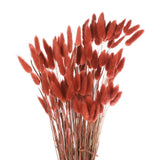 120pcs Natural Bunny Tails Dried Flowers 24" Mini Pampas Grass, Brown Pampas Grass