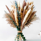 Pampas Grass Decor, Large (Table & Floor), Olive, Sage Green, Terracotta Pampas Grass