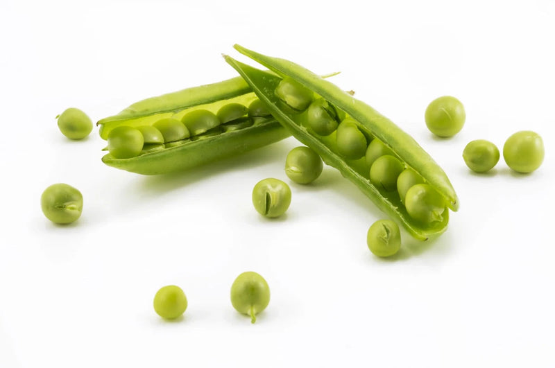 Sugar Ann Snap Pea Seeds, Early and Compact, Heirloom, NON-GMO Garden Plants