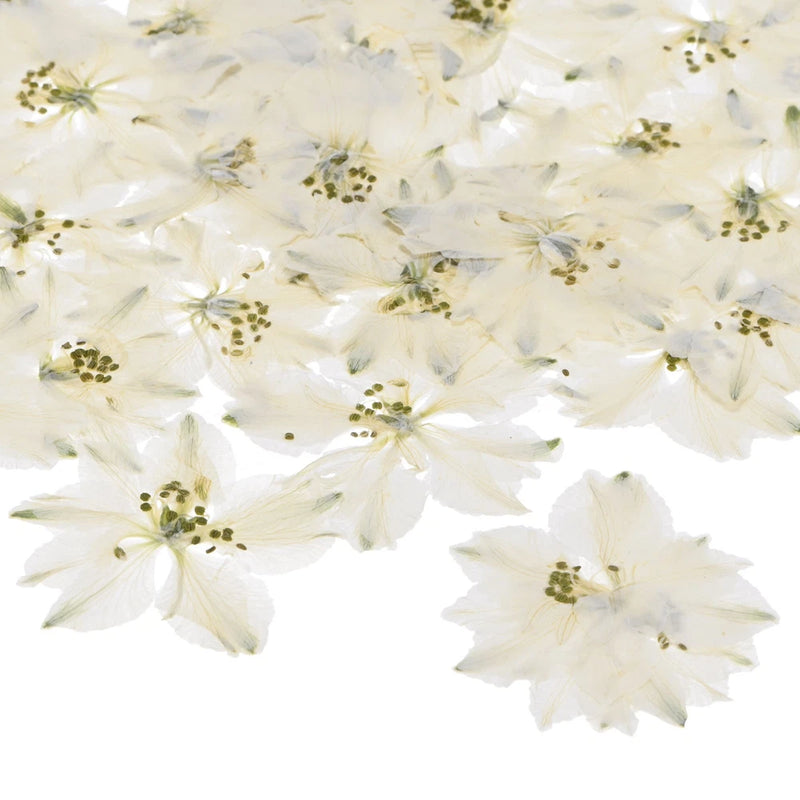 24-Pack Dried Pressed Flowers for Resin, Real Natural Bulk Dry Floral [White] Dried Flower