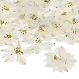 24-Pack Dried Pressed Flowers for Resin, Real Natural Bulk Dry Floral [White] Dried Flower