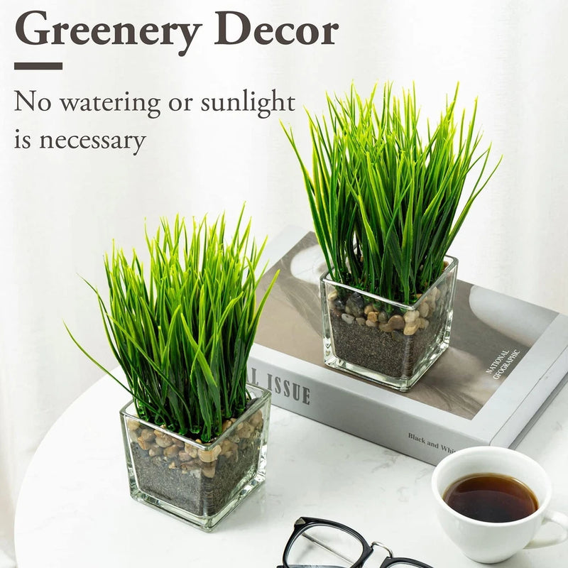 Set of 2 artificial grass plants in clear glass pots with green blades and faux pebbles