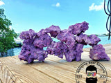 20lbs. Purple Dry Reef Rock Aragonite Base, Porous Aquarium Live- PICK SIZE!!! Anemone
