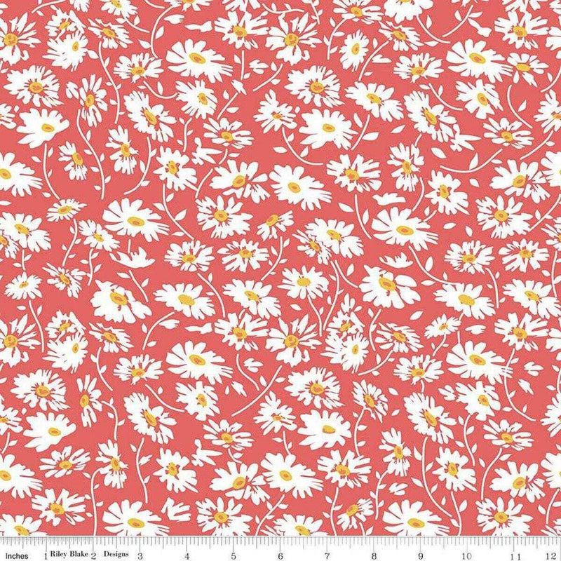 Always in Season Daisy Sky - C15104-RED - Riley Blake Designs - Floral Fabric - Flowering Plants
