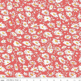 Always in Season Daisy Sky - C15104-RED - Riley Blake Designs - Floral Fabric - Flowering Plants