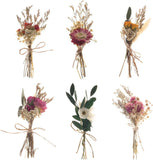 6Pcs Mini Dried Flower Bouquet Natural Real Flowers for Crafts Boho Dried Flower Dried Flower