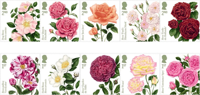 GB 2026 ROSES MINT STAMPS MNH *SPECIAL PRICE* Roses