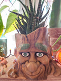 Tree Face Planter Pot Ð Unpainted Plant Pot Garden DŽcor Indoor/Outdoor Garden Plants