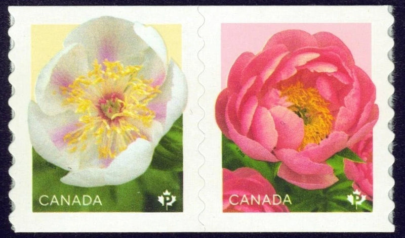 Pair of Canada flower stamps with peonies: white and pink blossoms