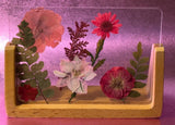 4x6 dried and pressed flower art wall art Dried Flower