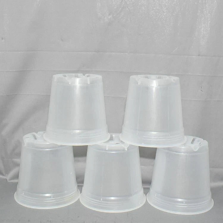 5 Pack - 6 in Clear Round Plastic Orchid Pot  by Sophie's Orchids Orchids