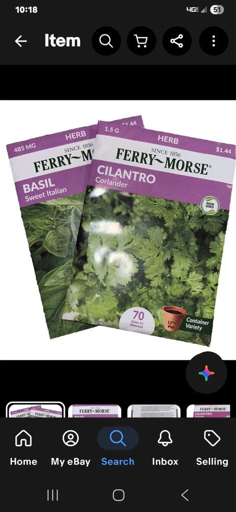 Basil, Cilantro and Oregano  Herb Garden Seeds NON-GMO - Fy Morse 36 pack 12/25 Garden Plants