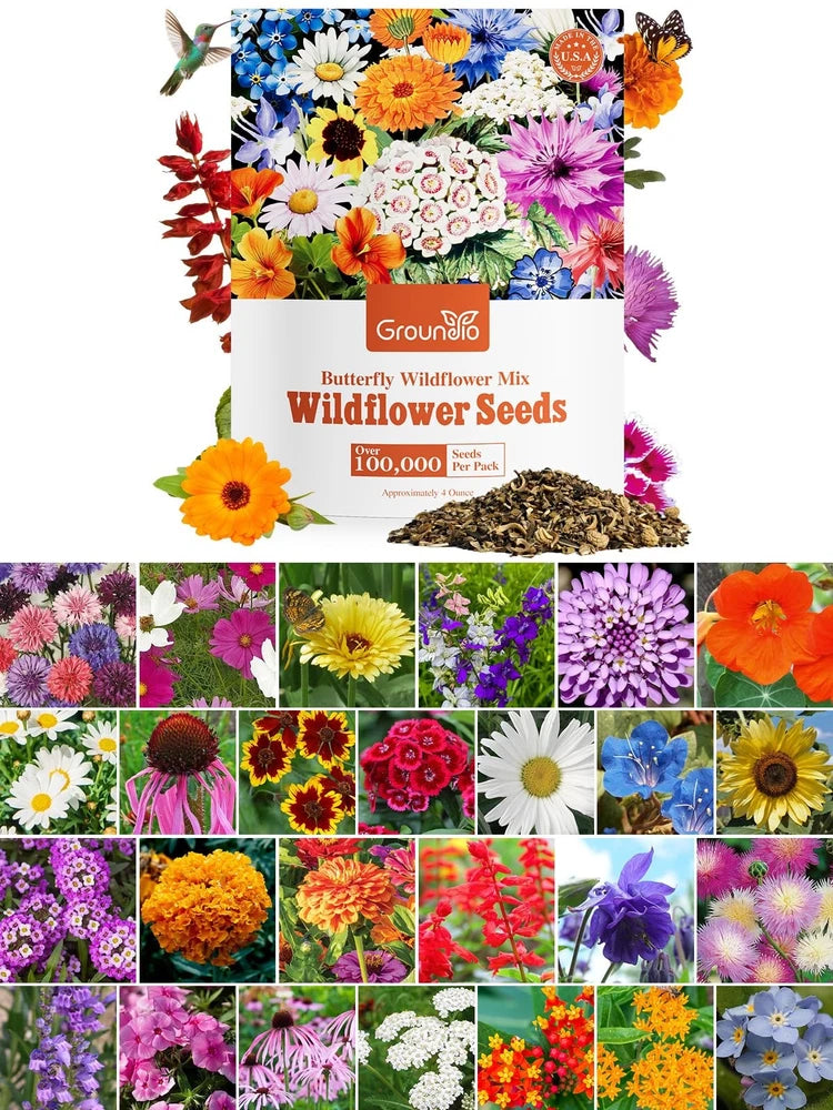 Wildflower Seeds Bulk Mix, 100,000+ Seeds, Attract Pollinators, Zones 3-10 Garden Plants