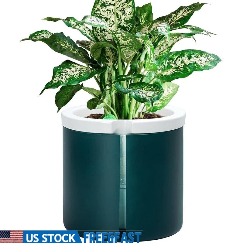 Teal glass self-watering plant pot with green indoor houseplant in white rim