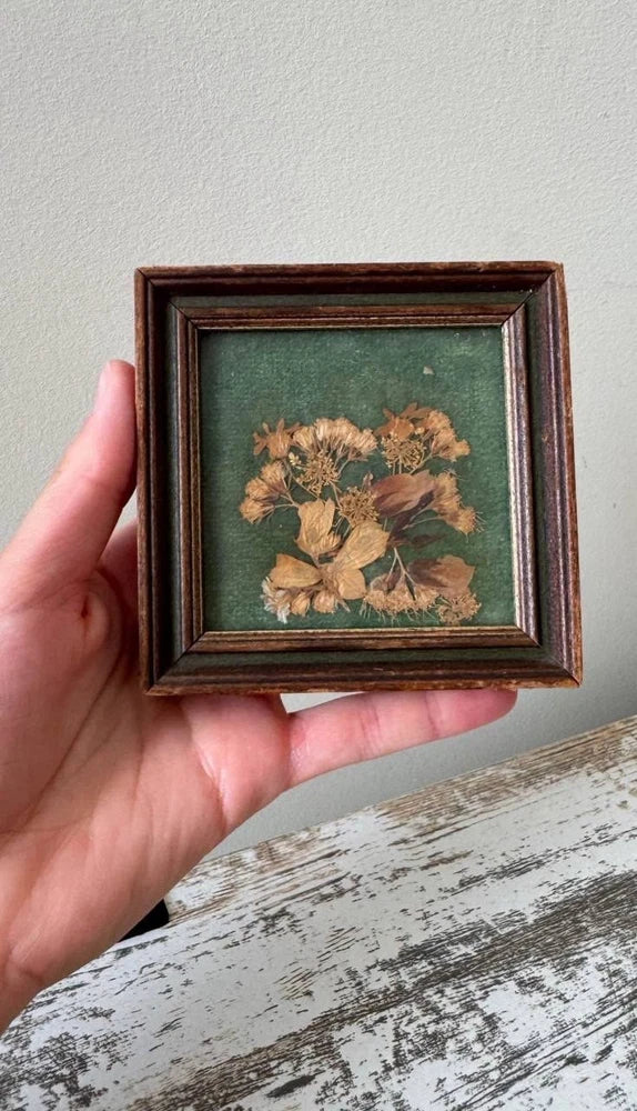 Small vintage dried flower art in dark brown frame, dried flowers on green background