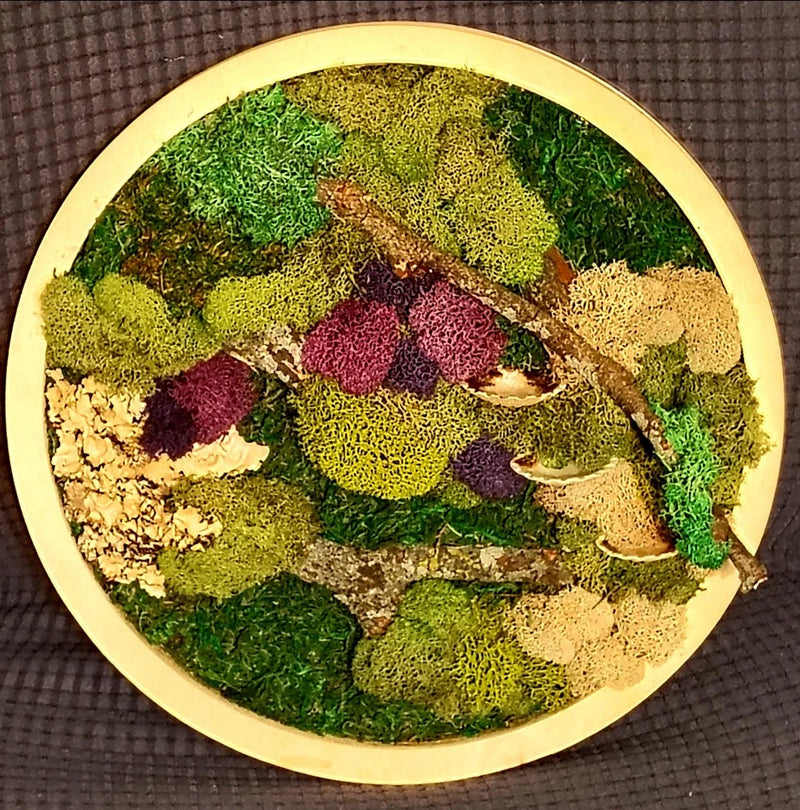 Preserved moss art in a circular shape, 12 inches in diameter. Green Plant