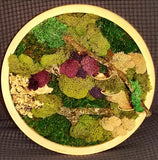 Preserved moss art in a circular shape, 12 inches in diameter. Green Plant