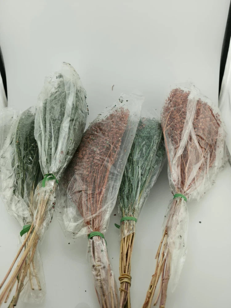 Dried broom bloom floral filler bunches, green stems with brown and tan dried blooms