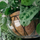 5Pcs Clear Plant Saucers with Hook Outdoor Garden Hanging Saucer Garden Plants