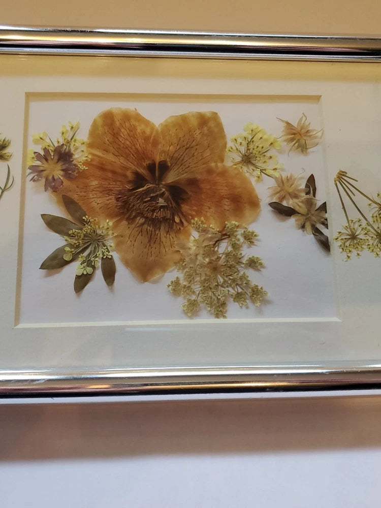 Framed dried pressed flower floral art with large brown bloom and small yellow botanicals