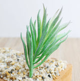 Artificial Succulents Plastic Plant Fake Cactus Floral Garden Office Decor Green Plant
